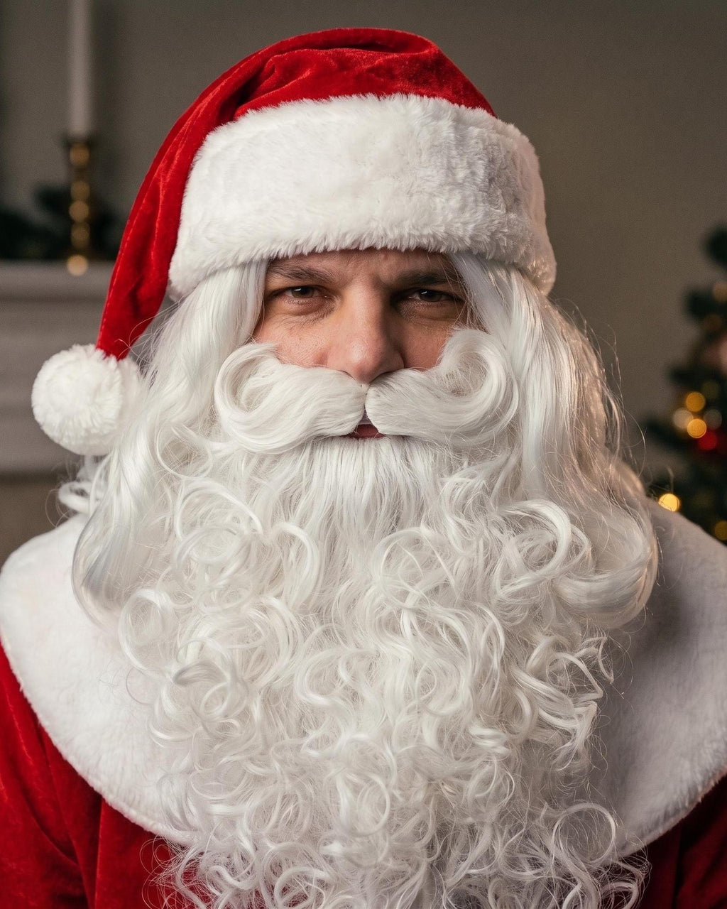Santa Beard and Wig Set EU | Snowy White Christmas Beard Handmade
