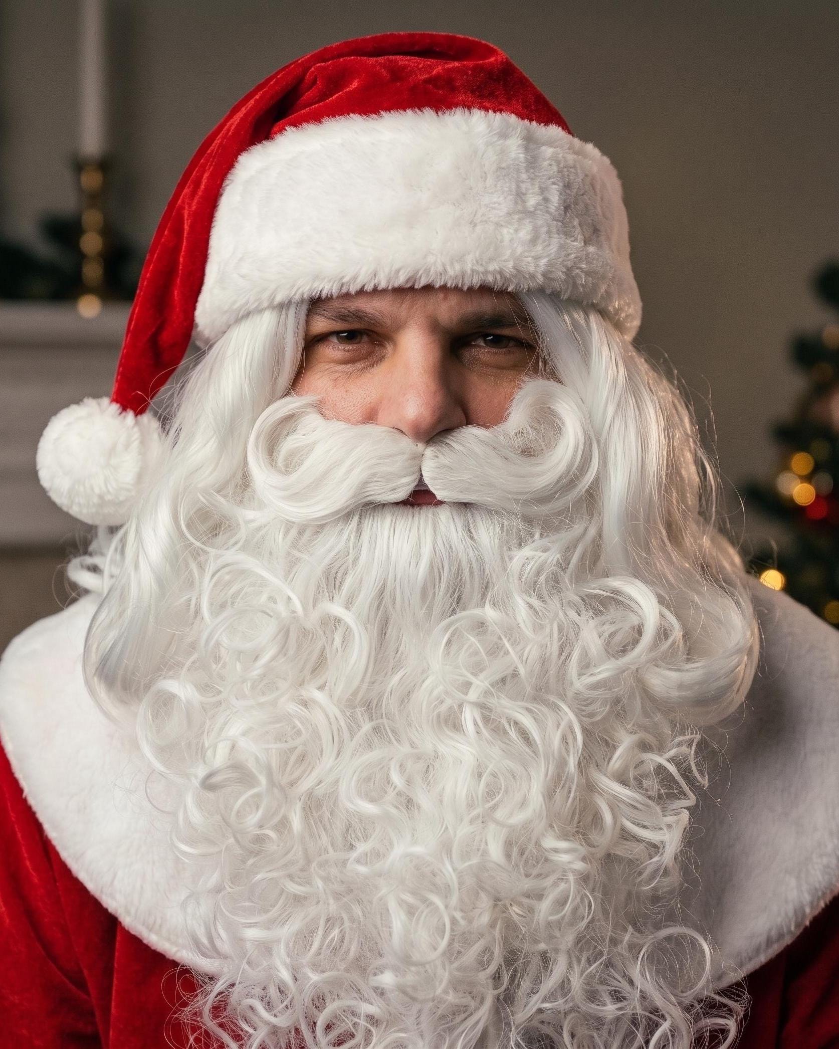 Santa Beard and Wig Set EU | Snowy White Christmas Beard Handmade