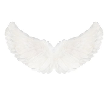 Angel Wings design 1