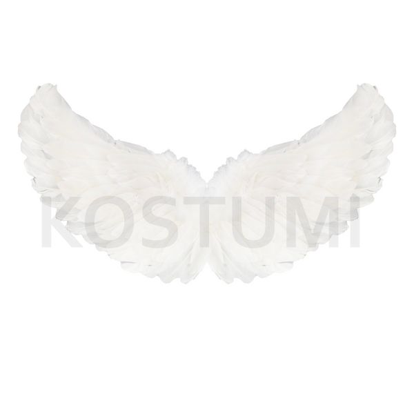 Angel Wings design 1