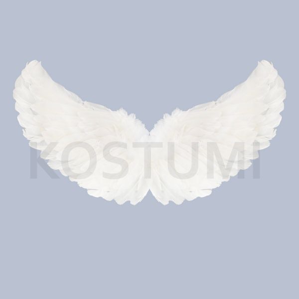 Angel Wings design 1