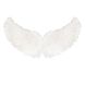 Angel Wings design 1