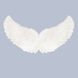 Angel Wings design 1